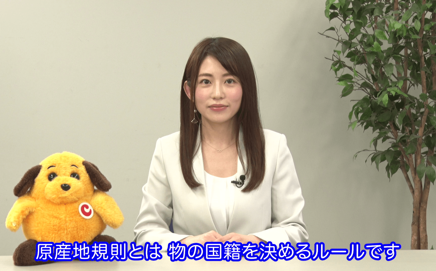 EPA利用の基礎(初心者向け)の説明動画